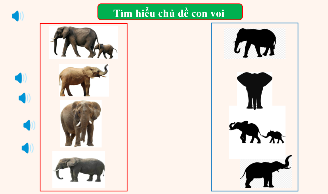 Đề tài: Tìm hiểu con voi