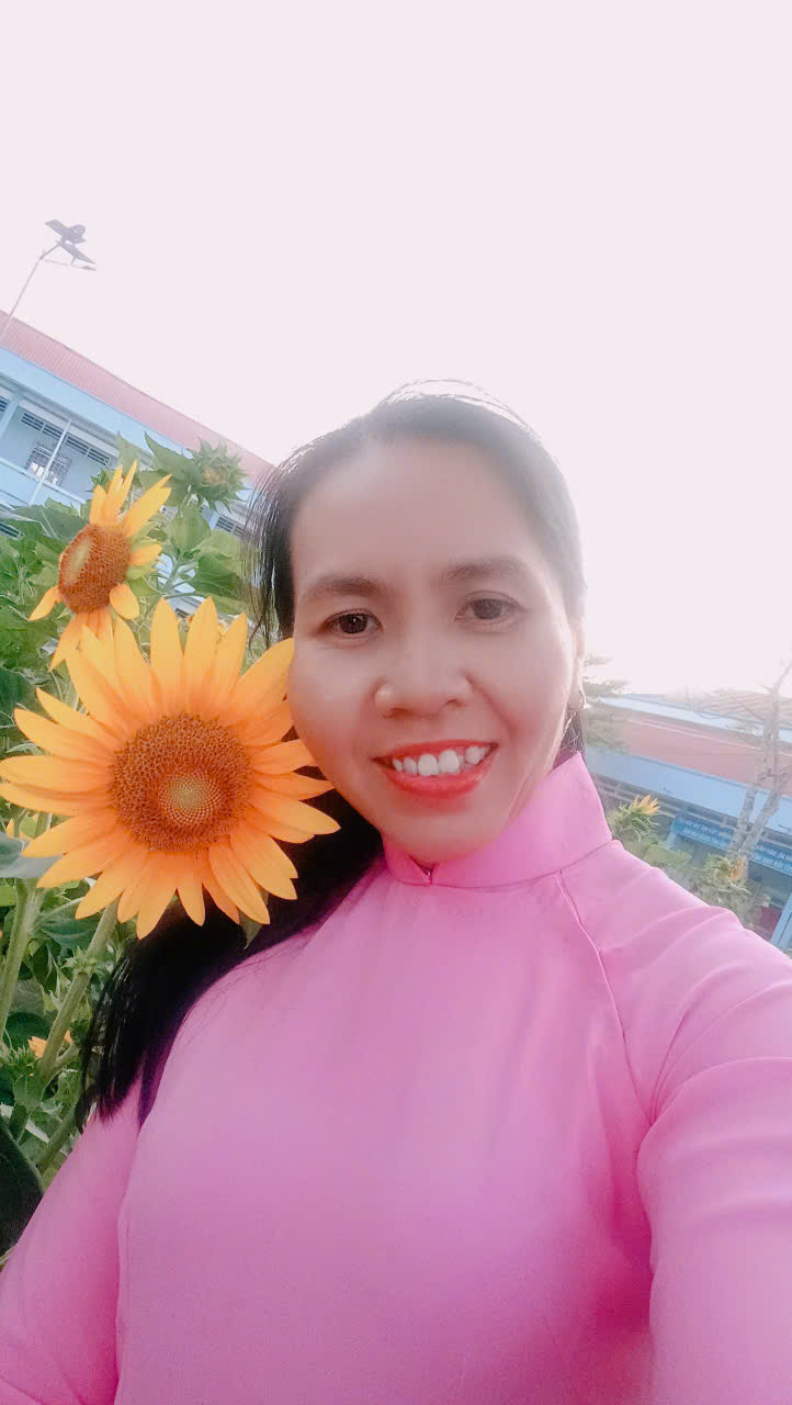 https://avinatemplate.com:5557/resource/file/20250508/e04f95cfce3e44aab14fd860551c62c6_hinh-ao-hong.jpg